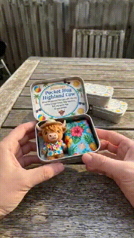 🐮Pocket Hug Highland Cow Gift Set – A Little Hug You Can Carry Anywhere 💛