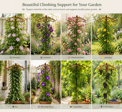 Rust Metal Umbrella Trellis for Climbing Plants, Decorative Garden Plant Support Stake