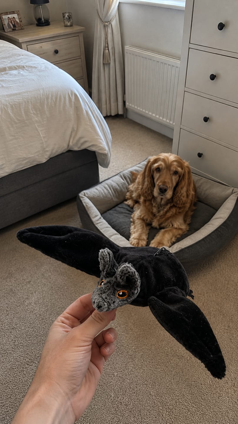 🐶🦇 Electric Flapping Bat Dog Toy