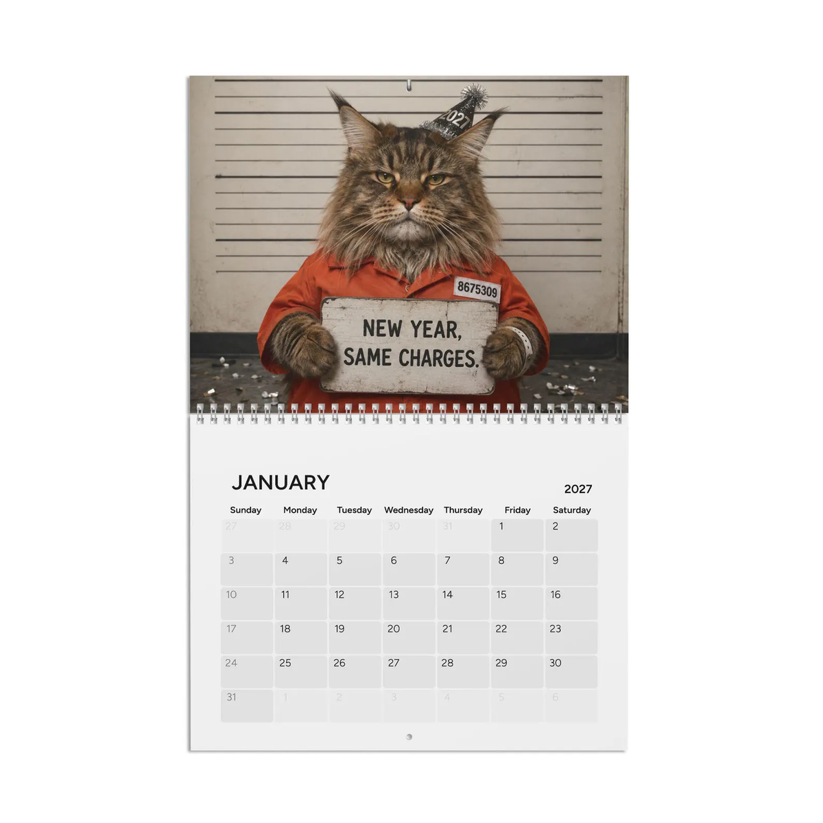 🐾 2027 Cat Mugshots Calendar – 12 Months of Feline Mischief
