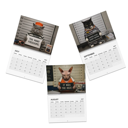 🐾 2027 Cat Mugshots Calendar – 12 Months of Feline Mischief