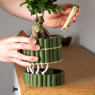 Bamboo Textured Self-Watering Plant Pot with Cute Water Level Indicator
